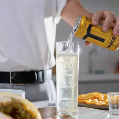 Mixer Prata Tônica Drinks Gin Coquetel Bar Lata 269ml na internet