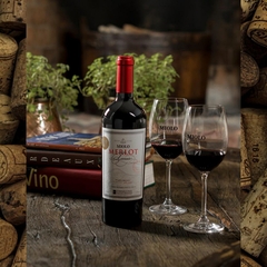 Vinho Miolo Merlot Terroir Tinto Vale dos Vinhedos DO 750ml