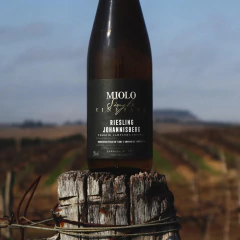 Vinho Miolo Single Vineyard Riesling Branco Fino Seco 750ml