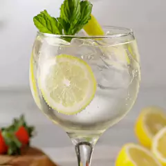 Gin Beg London Dry Gin Tônica Drinks Coquetéis Garrafa 750ml - comprar online