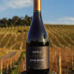 Vinho Miolo Linha Single Vineyard Tinto Branco Garrafa 750ml - loja online