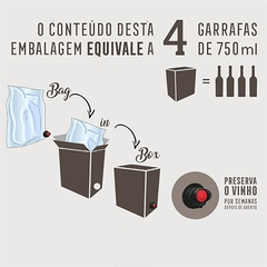 Vinho Miolo Seleção Sabores Tinto Branco Bag in Box 3 Litros - loja online