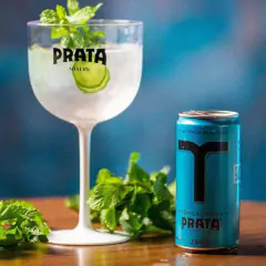 Mixer Prata Água Tônica Indian Coquetéis Drinks Lata 269ml - comprar online