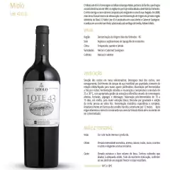 Vinho Miolo Lote 43 Merlot e Cabernet Sauvignon Tinto 750ml - Newness Bebidas