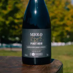Vinho Miolo Linha Single Vineyard Tinto Branco Garrafa 750ml - comprar online