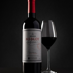 Vinho Miolo Merlot Terroir Tinto Vale dos Vinhedos DO 750ml - comprar online