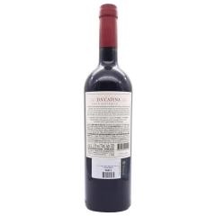 Vinho DV Catena Tinto Histórico Adega Zapata Garrafa 750ml - comprar online