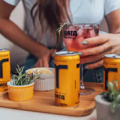 Imagem do Mixer Prata Tônica Drinks Gin Coquetel Bar Lata 269ml