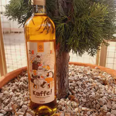 Hidromel Skadi Kaffe Bebida Mista Suave com Café 500ml na internet