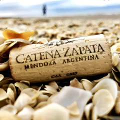 Vinho Catena Adega Zapata Tinto Cabernet Sauvignon 750ml - loja online