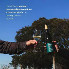 Vinho Miolo Linha Single Vineyard Tinto Branco Garrafa 750ml na internet