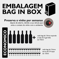 Vinho da Pipa Branco Português Embalagem Bag in Box 5 Litros - loja online