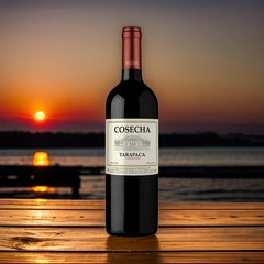 Vinho Tarapacá Linha Cosecha Chileno Tinto Branco 750ml