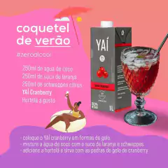 Suco Yaí Sabor Cranberry Zero Sódio Sem Açúcar Caixa 1000ml - comprar online