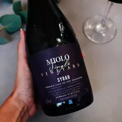 Vinho Miolo Linha Single Vineyard Tinto Branco Garrafa 750ml