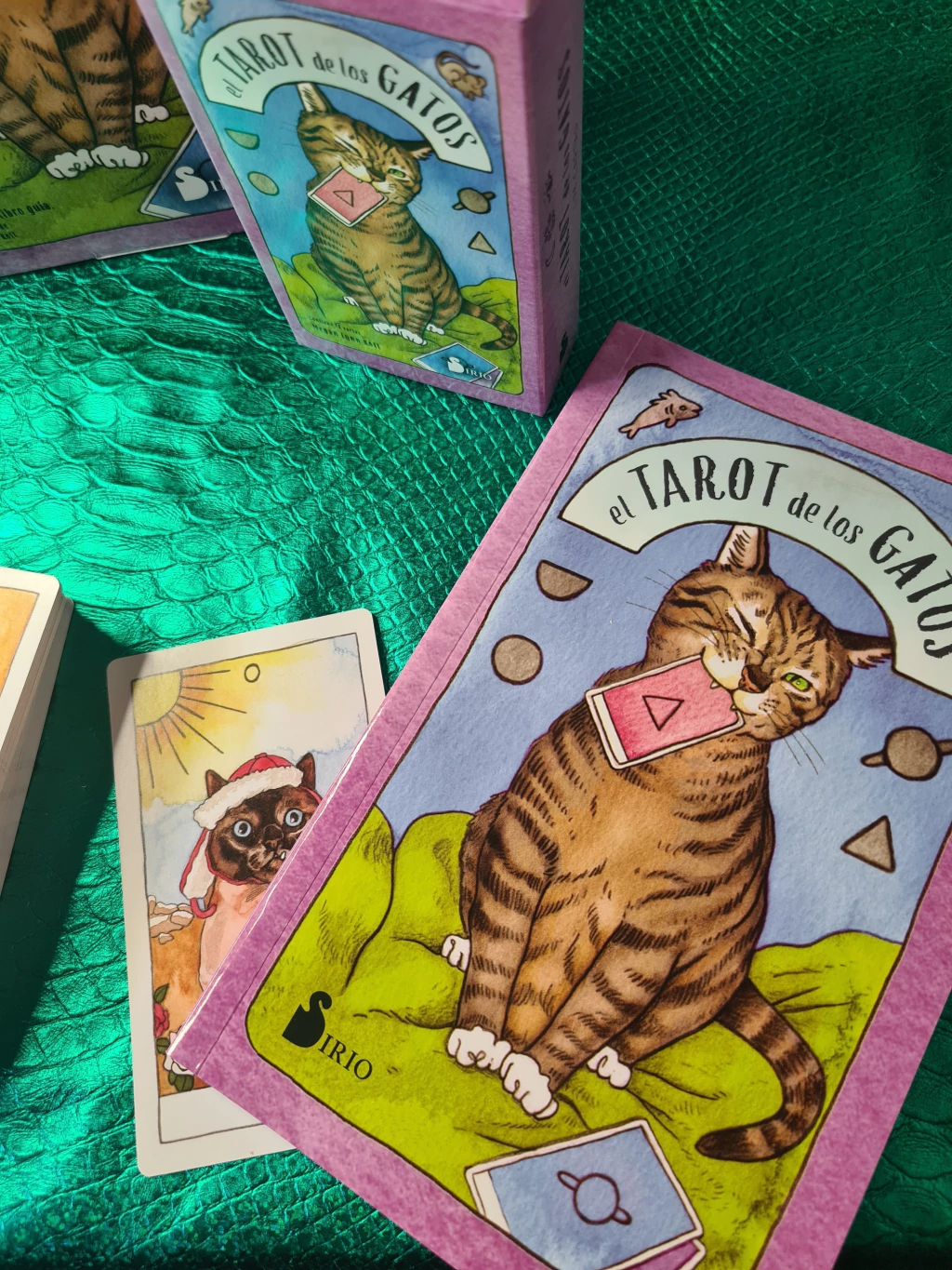 El tarot de los gatos, en español