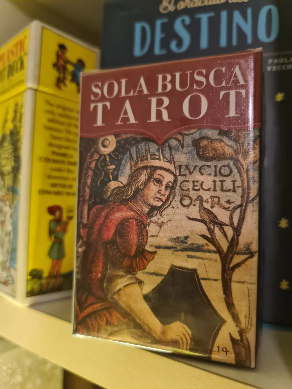 MINI SOLA BUSCA (LIBRO + 78 CARTAS) TAROT