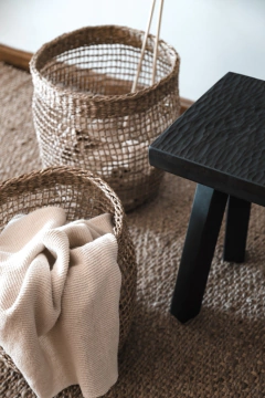 Canasto Tampa en internet