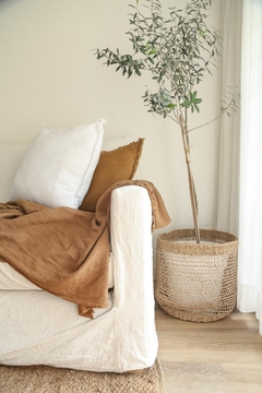 Canasto Tampa - comprar online