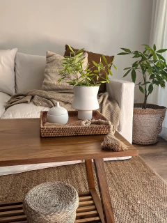 Bandeja Rattan - tienda online