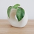 Florero Estocolmo - comprar online