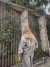Campera Koda - tienda online