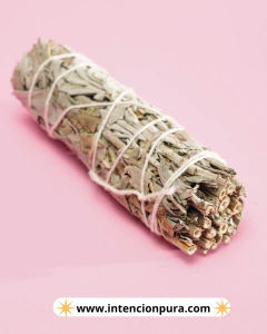 SALVIA BLANCA CALIFORNIANA