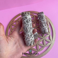 SALVIA BLANCA CALIFORNIANA - comprar online