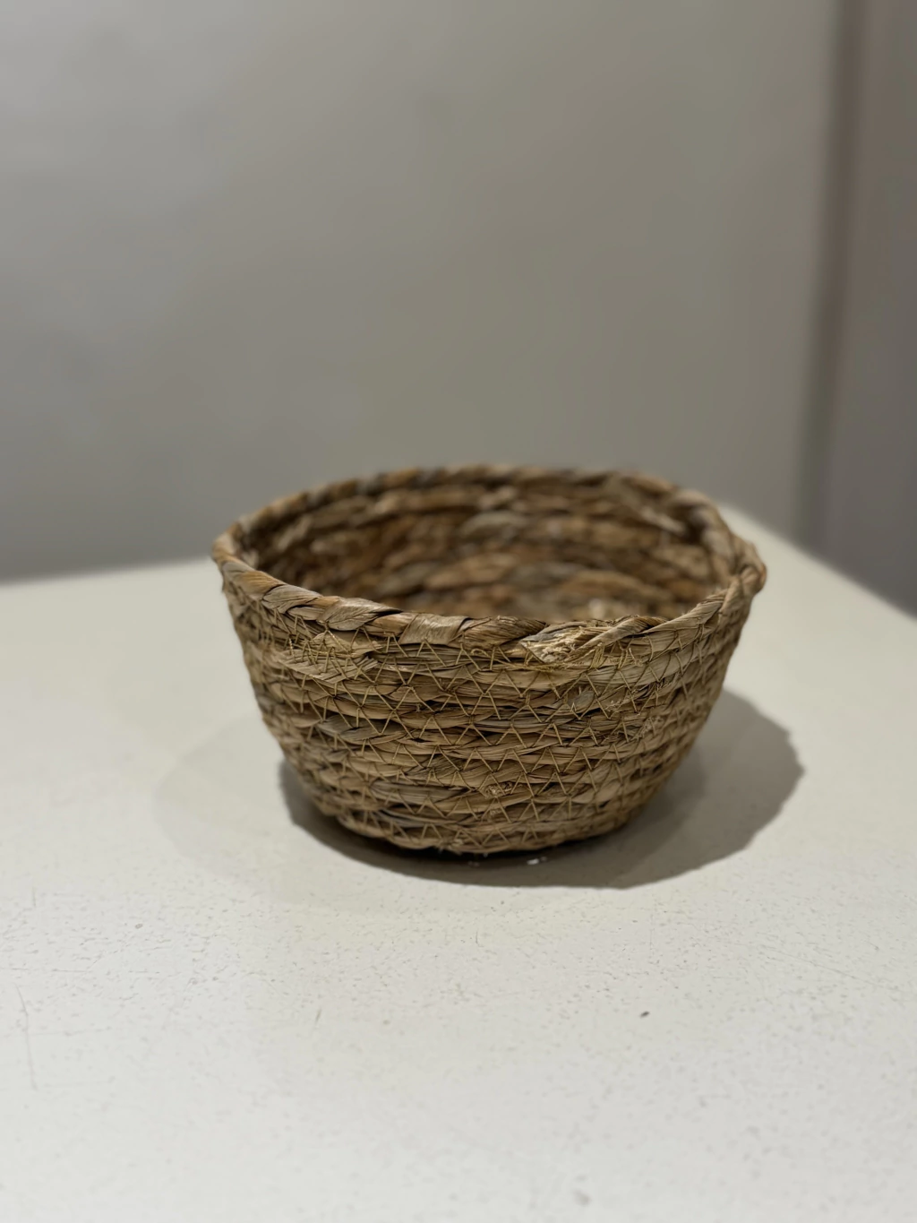 Panerita praga