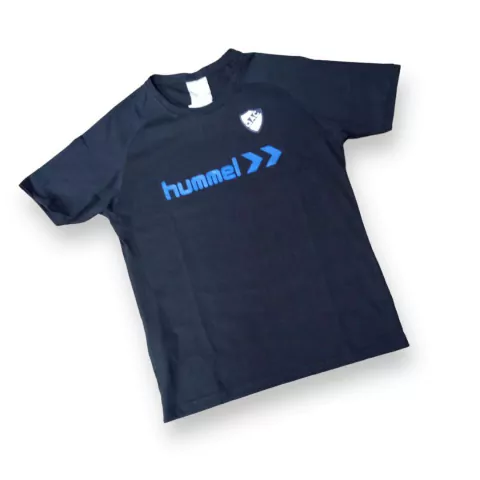 REMERA RUSTICA (HQ12)