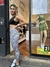 CALZA TINI - EUNOIA FIT