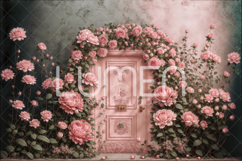 FUNDO FOTOGRÁFICO ALMA LMVAN06