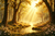 Fundo Fotográfico BOSQUE LMBSQ026 - comprar online