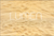 Fundo Fotográfico CHÃO LMPCHO15