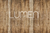 Fundo Fotográfico CHÃO LMPCHO9