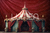 Fundo Fotográfico CIRCO LMCIR01