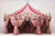 Fundo Fotográfico CIRCO LMCIR012