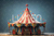 Fundo Fotográfico CIRCO LMCIR06