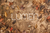 Fundo Fotográfico ESTAÇÕES LMOUT02
