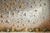 Fundo Fotográfico ESTRELAS LMSTAR04