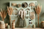 Fundo Fotográfico FARROUPILHA LMFARP010