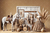 Fundo Fotográfico FARROUPILHA LMFARP018