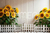 Fundo Fotográfico FLORAL LMFLOS94
