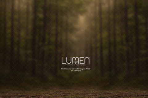 FUNDO FOTOGRÁFICO FLORESTA 25LMNV658 - comprar online