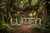 Fundo Fotográfico FLORESTA LMFLR04