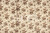 Fundo Fotográfico MUCHON LMPMU11 - comprar online