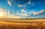 Fundo Fotográfico LAVOURA LMLAV03