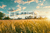 Fundo Fotográfico LAVOURA LMLAV04