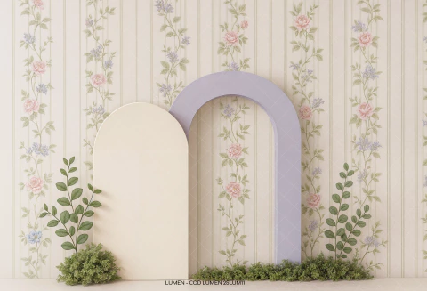 FUNDO FOTOGRÁFICO LUMEN 25LUM11 - comprar online