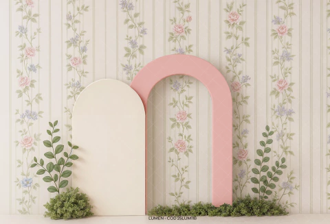 FUNDO FOTOGRÁFICO LUMEN 25LUM11B - comprar online